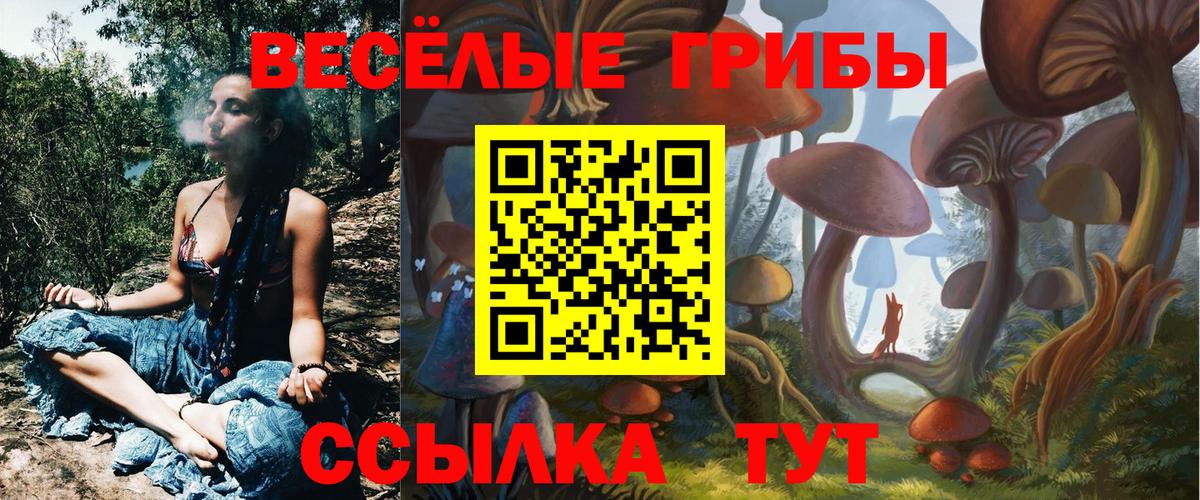 Галлюциногенные грибы мухоморы Берёзовский