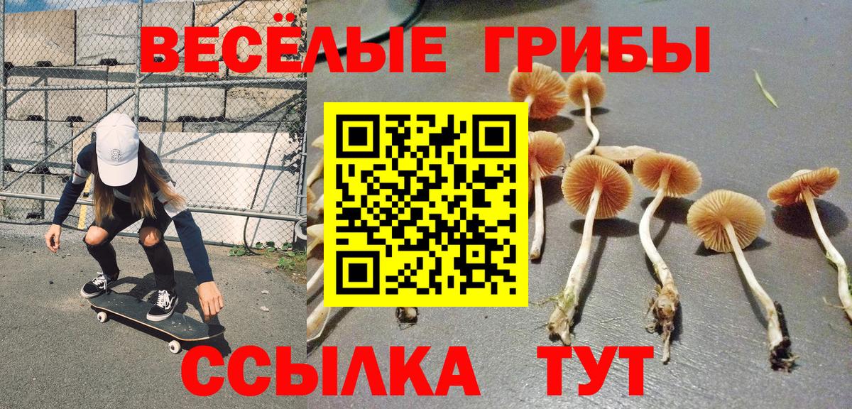купить закладку  Вход с VPN  Берёзовский  Псилоцибиновые грибы Psilocybe 